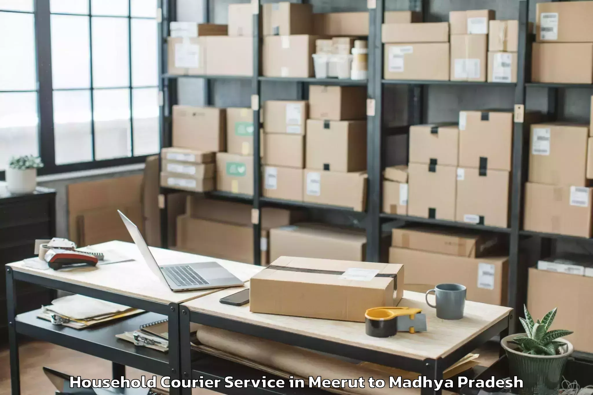 Easy Meerut to Madhyanchal Professional Unive Household Courier Booking